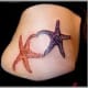 starfish-tattoos-and-designs-starfish-tattoo-meanings-and-ideas-starfish-tattoo-pictures