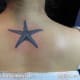 starfish-tattoos-and-designs-starfish-tattoo-meanings-and-ideas-starfish-tattoo-pictures