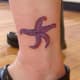 starfish-tattoos-and-designs-starfish-tattoo-meanings-and-ideas-starfish-tattoo-pictures