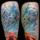 starfish-tattoos-and-designs-starfish-tattoo-meanings-and-ideas-starfish-tattoo-pictures