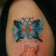 starfish-tattoos-and-designs-starfish-tattoo-meanings-and-ideas-starfish-tattoo-pictures