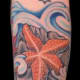 starfish-tattoos-and-designs-starfish-tattoo-meanings-and-ideas-starfish-tattoo-pictures