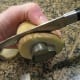 Cookie cutter marks how deep you cut into potato.