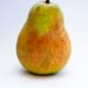 Asian Pear