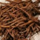 Dandelion roots. Each plant has one tap root.
