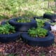 more-ideas-for-container-gardening
