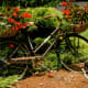 more-ideas-for-container-gardening