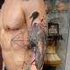 Bird tattoo on arm