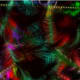 © 2007 Miami