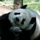 getting-a-job-as-a-zookeeper-or-aquarist