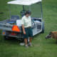 getting-a-job-as-a-zookeeper-or-aquarist