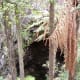 exploring-the-back-roads-of-new-zealands-north-island-orakei-korako-the-hiddenvalley