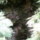 exploring-the-back-roads-of-new-zealands-north-island-orakei-korako-the-hiddenvalley