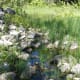Marshy, swampy area that is gorgeous and full of greenery.