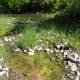 Some of the marshy area that is beyond the dam wall, its quite beautiful isn't it?