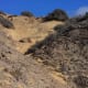 The gentle slope down to Playa Mujeres