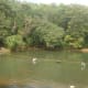 Souparnika River. It is fine if you take a dip here