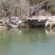 Swimming Holes at Barton Creek Twin Falls Austin TX