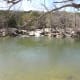 Barton Creek Swimming Hole Twin Falls Austin Texas