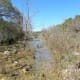 Barton Creek Austin TX