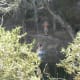 Swimming hole and cliff jumping Barton Creek Twin Falls Greenbelt Trail Austin TX
