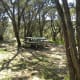 Picnic areas at Barton Creek Greenbelt