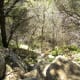 Trails at Barton Creek Greenbelt Austin Texas