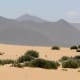 A wide expanse of sand dunes line the beaches of the northeast near Corralejo, but reach far inland too
