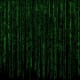The Matrix