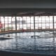 The dolphin tank at the Baltimore Aquarium.