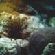 The National Aquarium, Baltimore