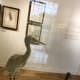 Pieces displayed at the Biodiversity and Rice: Climate Change