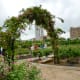 View of the rose garden