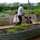 Family Garden