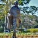 Mahatma Gandhi Sculpture