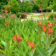 mcgovern-centennial-gardens-in-houston-new-haven-in-hermann-park