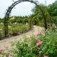 View of the rose garden