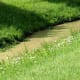 Cane Island Creek borders one side of Thomas Park.