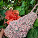 crochet-shells-face-mask