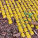 Closeup of “Safety Yellow” by Susannah Mira on the “Obstacle Art Path”