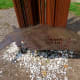 Closeup of Made for You and Me by Tommy Gregory