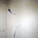 Cracked plaster at the back of the wardrobe; to be repaired