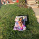 It is so serene chilling out on our Lawn