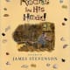 Rocks in His Head by Carol Otis Hurst