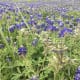 Very near DFW airport along the road
