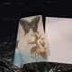 an-illustrated-tutorial-for-napkin-decoupage