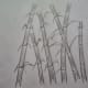 20-how-to-draw-trees-instructions-for-kids-step-by-step