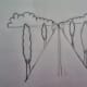 20-how-to-draw-trees-instructions-for-kids-step-by-step