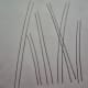 20-how-to-draw-trees-instructions-for-kids-step-by-step
