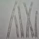 20-how-to-draw-trees-instructions-for-kids-step-by-step